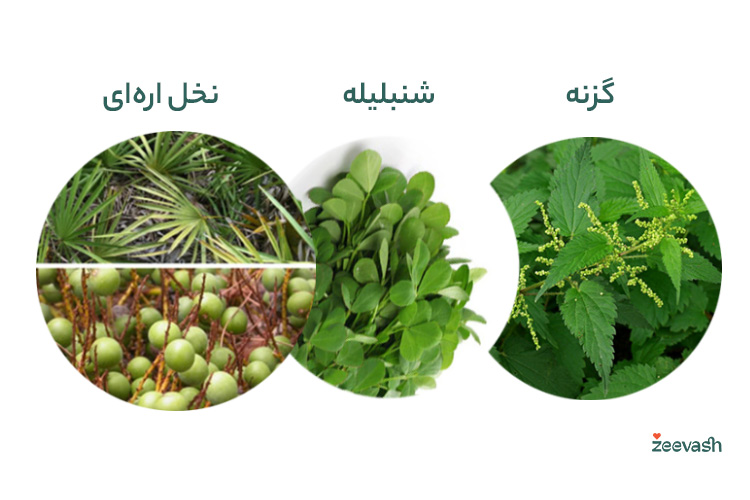 گزنه، شنبلیله و نخل اره ای